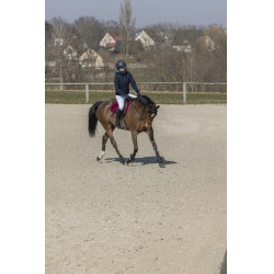 Blouson Pro Series Equilibre Bleu marine Blouson Pro Series Equilibre Bleu marine