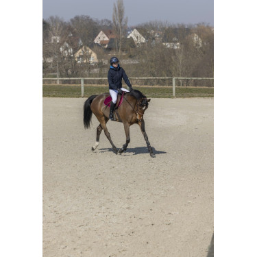 Pro Series Equilibre jas Pro Series Equilibre jas
