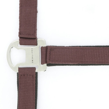 Licol Equithème Air