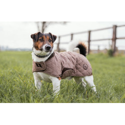 Manteau pour chien Back on Track® Haze Collection Marron