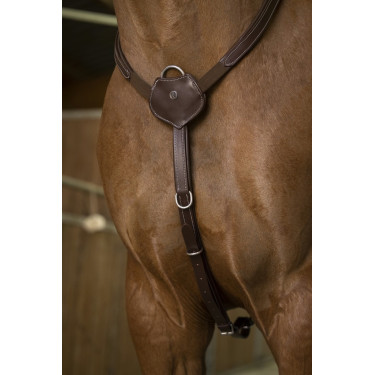 Jachtmartingaal Norton Pro Comfort Jachtmartingaal Norton Pro Comfort