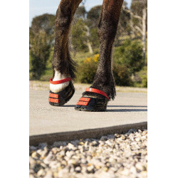 Pack de sangles avant Scoot Boots Hibiscus Rouge Pack de sangles avant Scoot Boots Hibiscus Rouge