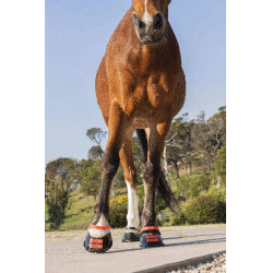 Pack de sangles avant Scoot Boots Hibiscus Rouge Pack de sangles avant Scoot Boots Hibiscus Rouge