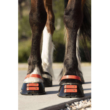 Pack de sangles avant Scoot Boots Pack de sangles avant Scoot Boots
