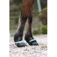 Voorste riemenpakket Scoot Boots Aquamarijn Blauw