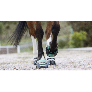 Voorste riemenpakket Scoot Boots Voorste riemenpakket Scoot Boots