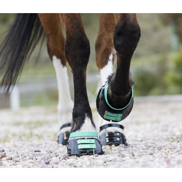 Voorste riemenpakket Scoot Boots Voorste riemenpakket Scoot Boots
