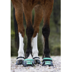Pack de sangles avant Scoot Boots Aigue marine Bleu