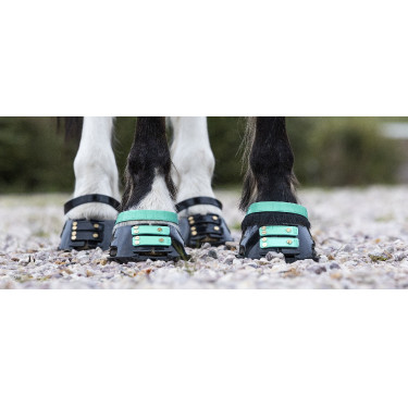 Voorste riemenpakket Scoot Boots Voorste riemenpakket Scoot Boots