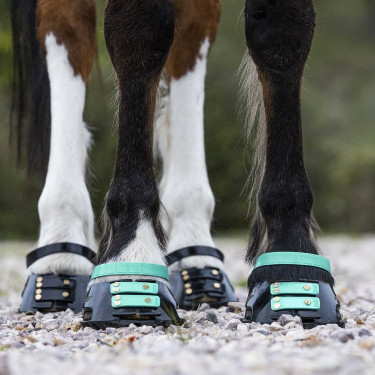 Voorste riemenpakket Scoot Boots Voorste riemenpakket Scoot Boots