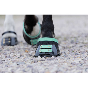 Voorste riemenpakket Scoot Boots Voorste riemenpakket Scoot Boots