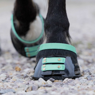 Voorste riemenpakket Scoot Boots Voorste riemenpakket Scoot Boots