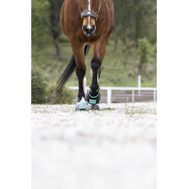 Voorste riemenpakket Scoot Boots Voorste riemenpakket Scoot Boots