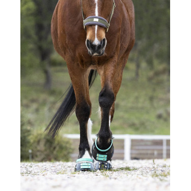 Voorste riemenpakket Scoot Boots Voorste riemenpakket Scoot Boots