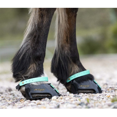 Voorste riemenpakket Scoot Boots Voorste riemenpakket Scoot Boots