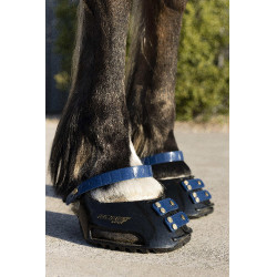 Pack de sangles avant Scoot Boots Bleu marine Pack de sangles avant Scoot Boots Bleu marine