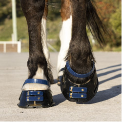 Pack de sangles avant Scoot Boots Bleu marine Pack de sangles avant Scoot Boots Bleu marine