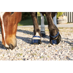 Pack de sangles avant Scoot Boots Bleu marine Pack de sangles avant Scoot Boots Bleu marine