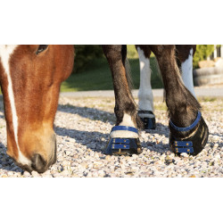 Pack de sangles avant Scoot Boots Bleu marine Pack de sangles avant Scoot Boots Bleu marine