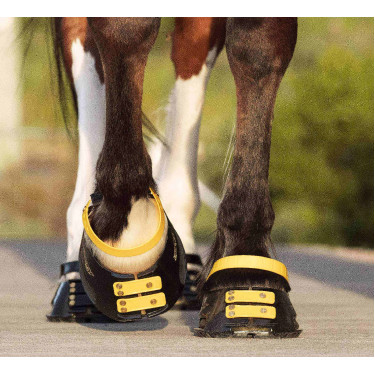 Voorste riemenpakket Scoot Boots Goudsbloem Geel Voorste riemenpakket Scoot Boots Goudsbloem Geel