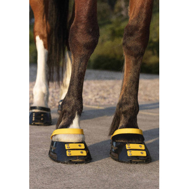 Voorste riemenpakket Scoot Boots Goudsbloem Geel Voorste riemenpakket Scoot Boots Goudsbloem Geel