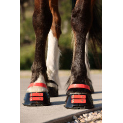 Paturonbanden Scoot Boots per 4 Hibiscus Rood