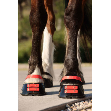 Straps de paturon Scoot Boots par 4 Hibiscus Rouge Straps de paturon Scoot Boots par 4 Hibiscus Rouge
