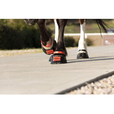 Straps de paturon Scoot Boots par 4 Hibiscus Rouge Straps de paturon Scoot Boots par 4 Hibiscus Rouge