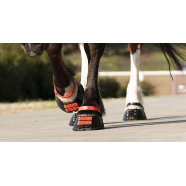 Straps de paturon Scoot Boots par 4 Hibiscus Rouge Straps de paturon Scoot Boots par 4 Hibiscus Rouge