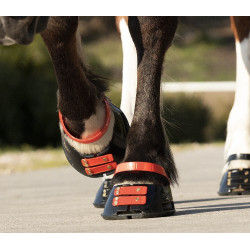 Paturonbanden Scoot Boots per 4 Hibiscus Rood