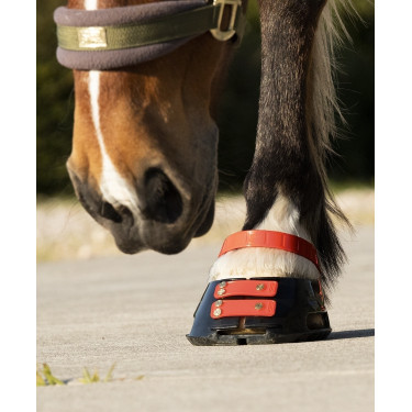 Straps de paturon Scoot Boots par 4 Hibiscus Rouge Straps de paturon Scoot Boots par 4 Hibiscus Rouge