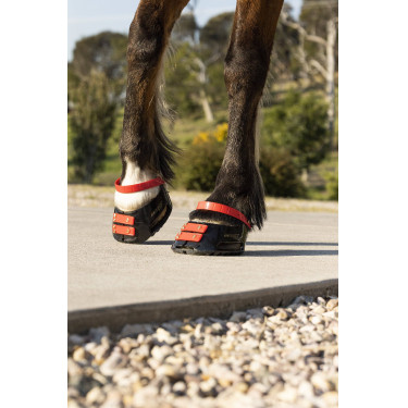 Paturonbanden Scoot Boots per 4 Hibiscus Rood Paturonbanden Scoot Boots per 4 Hibiscus Rood