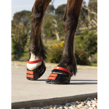 Straps de paturon Scoot Boots par 4 Hibiscus Rouge Straps de paturon Scoot Boots par 4 Hibiscus Rouge