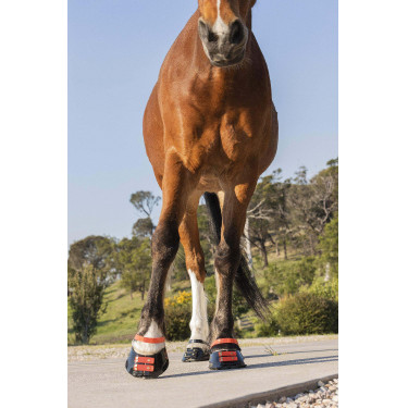 Paturonbanden Scoot Boots per 4 Hibiscus Rood Paturonbanden Scoot Boots per 4 Hibiscus Rood
