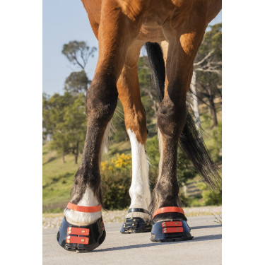 Straps de paturon Scoot Boots par 4 Hibiscus Rouge Straps de paturon Scoot Boots par 4 Hibiscus Rouge