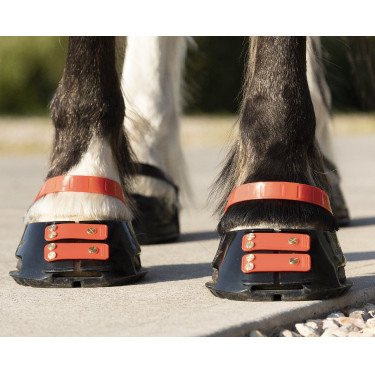 Straps de paturon Scoot Boots par 4 Hibiscus Rouge Straps de paturon Scoot Boots par 4 Hibiscus Rouge