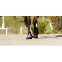 Paturonbanden Scoot Boots per 4 Blauw