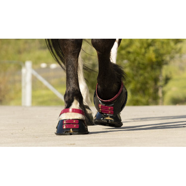 Paturonbanden Scoot Boots per 4 Donkerpaars Bordeaux