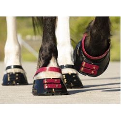 Straps de paturon Scoot Boots par 4 Mûre Bordeaux