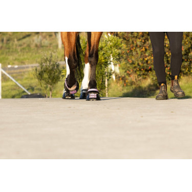 Straps de paturon Scoot Boots par 4 Blossom Rose