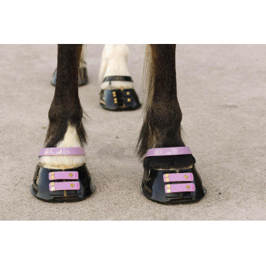 Straps de paturon Scoot Boots par 4 Blossom Rose