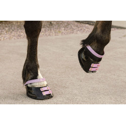 Paturonbanden Scoot Boots per 4 Bloesem Roze