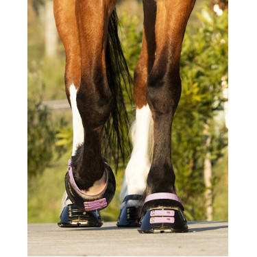 Straps de paturon Scoot Boots par 4 Blossom Rose