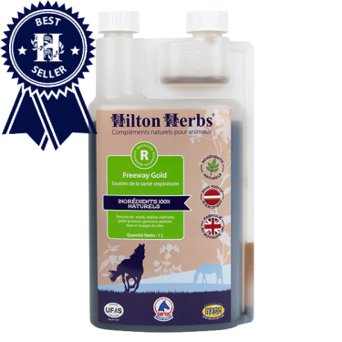 Freeway Gold Hilton Herbs