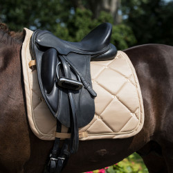 Tapis de Selle Dressage Night Collection Back On Track Champagne Beige