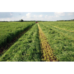 EQUIFOURRAGE EQUIFOURRAGE