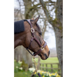 Lemieux leren halster met stiksel Bruin