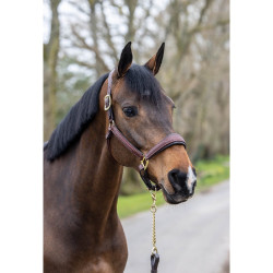 Lemieux leren halster met stiksel Bruin