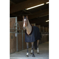 Chemise séchante Equithème Teddy Noir / marron Chemise séchante Equithème Teddy Noir / marron