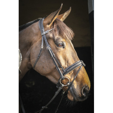 Bridon Pénélope Luxe Bridon Pénélope Luxe